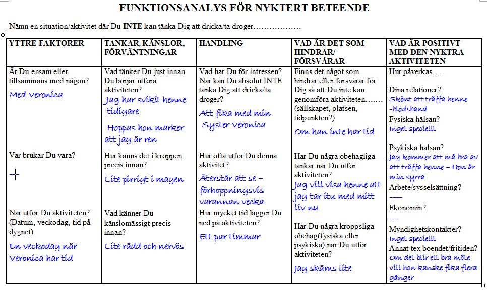 Funktionsanalys - Drogfritt beteende