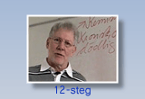 12-steg